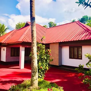 Bed & Breakfast Avalon Grove